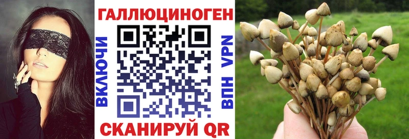 Галлюциногенные грибы MAGIC MUSHROOMS дарк нет состав Усть-Джегута MEGA маркетплейс